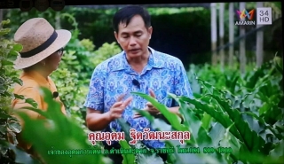 การพัฒนา เกษตรไทย ให้ยั่งยืน